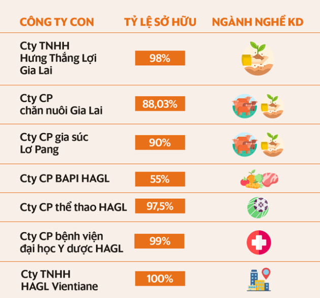 Khi Bầu Đức gồng mình trả nợ: Tài sản không sinh lời có thể bán của HAGL gồm những gì? - Ảnh 1.