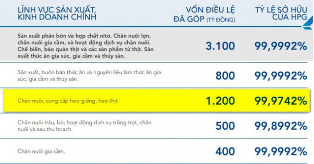 Khi các tỷ phú Việt nuôi heo: Masan có MeatDeli đổ bộ mâm cơm dân thành thị, Hòa Phát chỉ bán heo giống và heo hơi - Ảnh 4.