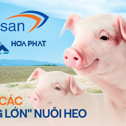 Khi các tỷ phú Việt nuôi heo: Masan có MeatDeli đổ bộ mâm cơm dân thành thị, Hòa Phát chỉ bán heo giống và heo hơi