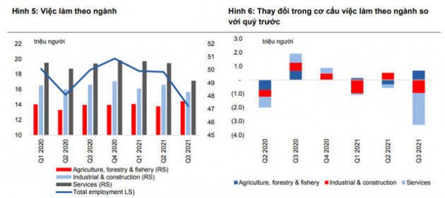 Khi nhiều lĩnh vực ghi nhận số việc làm giảm, thì lĩnh vực này lại có số việc làm tăng trong quý 3 - Ảnh 1.