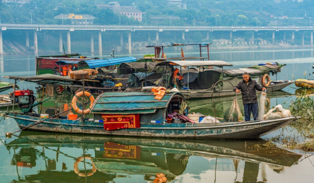 Khiến hàng vạn lao động "bơ vơ", nỗ lực cứu sông Dương Tử đầy tham vọng của TQ liệu có hiệu quả?