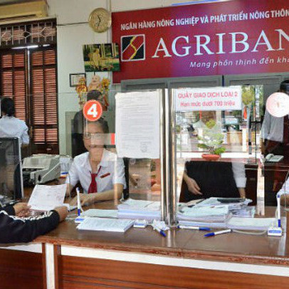 Khoản vay 708 tỷ đồng, Agribank phát giá khởi điểm chỉ phân nửa