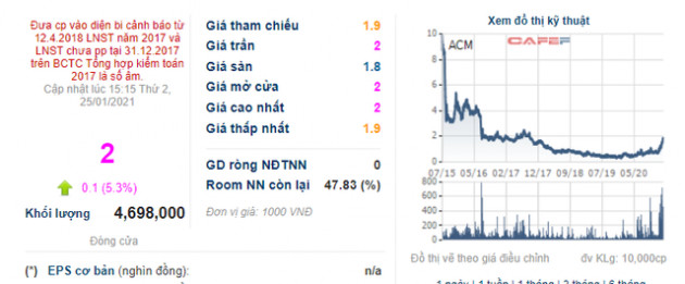 Khoáng sản Á Cường (ACM): Năm 2020 doanh thu 0 đồng, lỗ 55 tỷ đồng - Ảnh 3.