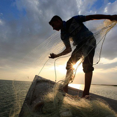 Khối ngoại đẩy mạnh mua ròng gần 650 tỷ đồng, sắc xanh trở lại thị trường trong phiên cuối tuần