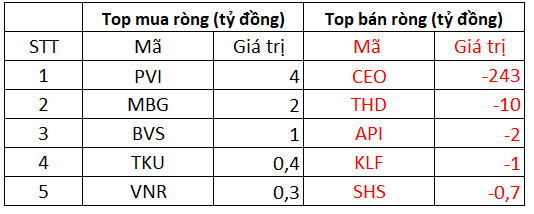 Khối ngoại mạnh tay bán ròng 872 tỷ đồng trong phiên hơn 700 cổ phiếu rực lửa, tập trung bán CEO và MSN - Ảnh 2.