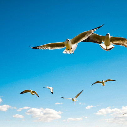 Khối ngoại mua ròng hơn 270 tỷ đồng, 3 sàn tăng điểm trong phiên 14/1