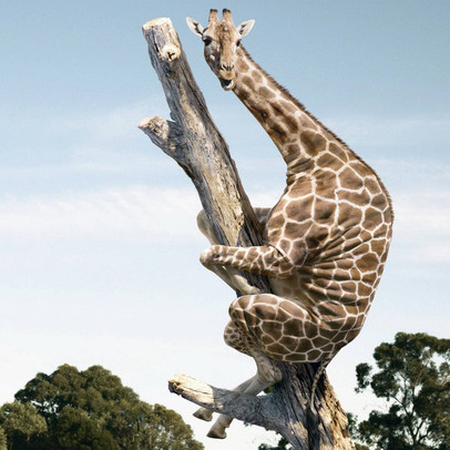 Khối ngoại tiếp tục bán ròng 260 tỷ, Vn-Index mất gần 50 điểm trong phiên 11/10