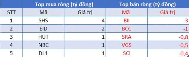 Khối ngoại tiếp tục bán ròng 407 tỷ đồng trong phiên 8/9, VHM và VIC là tâm điểm - Ảnh 2.