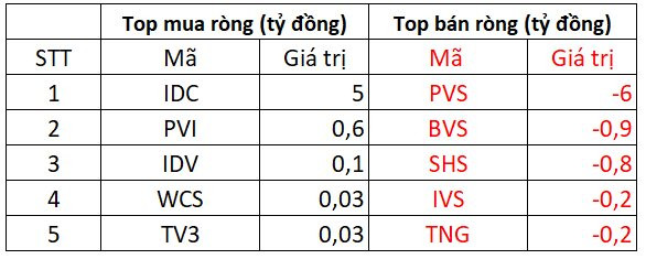 Khối ngoại tiếp tục mua ròng trong ngày thị trường giảm mạnh, vẫn xả một chứng chỉ quỹ - Ảnh 2.