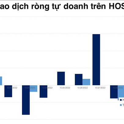 Khối tự doanh mua ròng phiên thứ 2 trên HOSE nhưng net short hơn 600 tỷ đồng