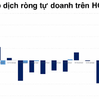 Không chỉ khối ngoại, tự doanh cũng "hắt hủi" DXG