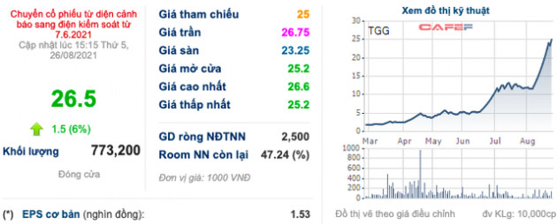 Không chỉ phát hành tăng hơn 2 lần vốn, Louis Capital (TGG) còn muốn vay thêm 300 tỷ đồng - Ảnh 1.