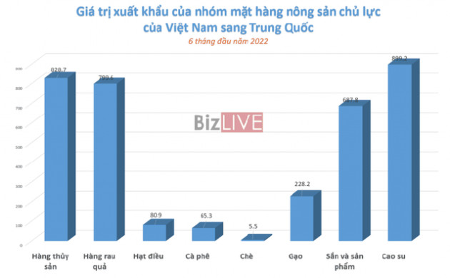 Không chỉ riêng Việt Nam, nhiều quốc gia khác phụ thuộc vào nguyên liệu giá rẻ từ Trung Quốc - Ảnh 2.