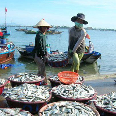 Không chỉ xuất khẩu, doanh nghiệp thủy sản kinh doanh nội địa cũng gặp khó