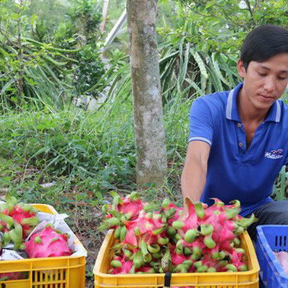 Không có hàng nông sản ùn ứ tại cửa khẩu quốc tế Hữu Nghị