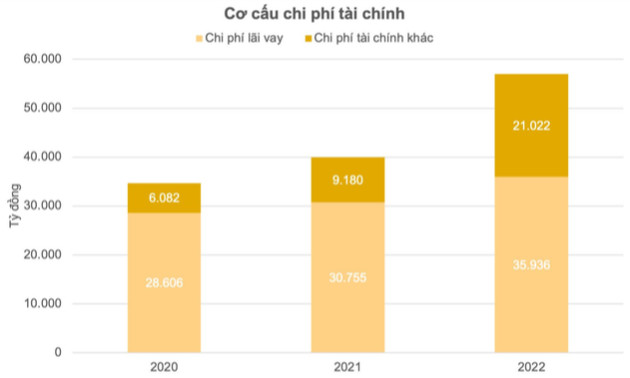 Không phải lãi vay, nỗi đau của Hòa Phát, Vietnam Airlines, EVNGenco3... “thủ phạm” khiến 19 DN lớn gánh thêm 17.000 tỷ chi phí tài chính là gì? - Ảnh 2.