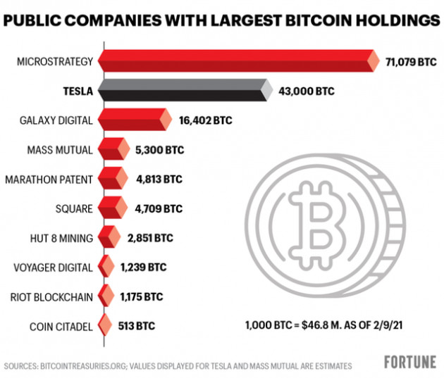  Không phải Tesla, đây mới là cá mập đang nắm giữ lượng Bitcoin nhiều nhất trên thế giới - Ảnh 1.