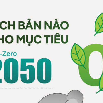 Kịch bản cho mục tiêu net-zero và năng lượng tái tạo: không chỉ là tiềm năng