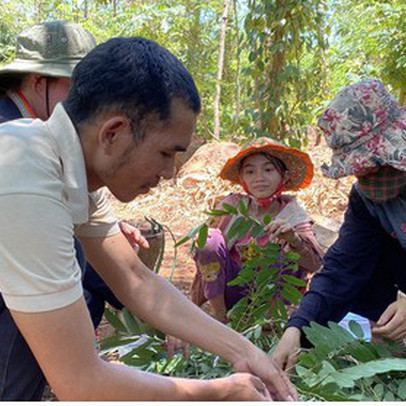 Kiếm tiền triệu mỗi ngày nhờ đặc sản “tôm rừng” Tây Nguyên