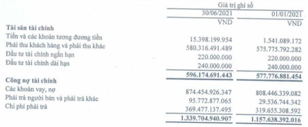 Kiểm toán nghi ngờ khả năng hoạt động liên tục của Đầu tư và Phát triển Đức Quân (FTM) - Ảnh 1.