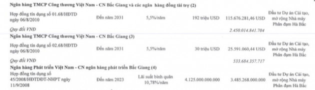 Kiểm toán nghi ngờ khả năng hoạt động liên tục, Đạm Hà Bắc khẳng định vẫn cân đối được dòng tiền - Ảnh 3.