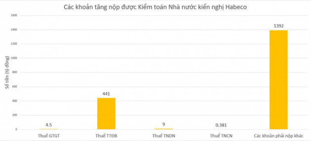 Kiểm toán Nhà nước đề nghị Bia Hà Nội tăng nộp ngân sách 1.847 tỷ đồng - Ảnh 1.