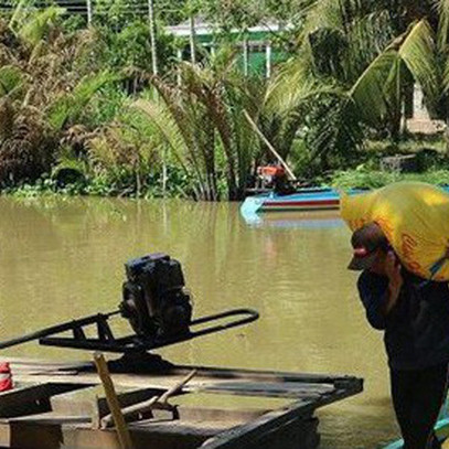 Kim ngạch xuất khẩu vào Trung Quốc và EU không đạt kì vọng