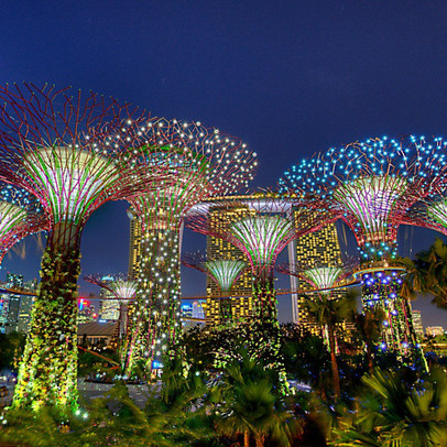 Kinh nghiệm “lo ăn” của Singapore thành bài học cho thế giới trước cuộc khủng hoảng lương thực thời Covid-19