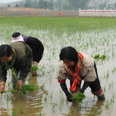 Kinh tế Triều Tiên lớn đến đâu?