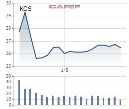 Kosy điều chỉnh giảm 25% lợi nhuận sau thuế sau kiểm toán - Ảnh 3.