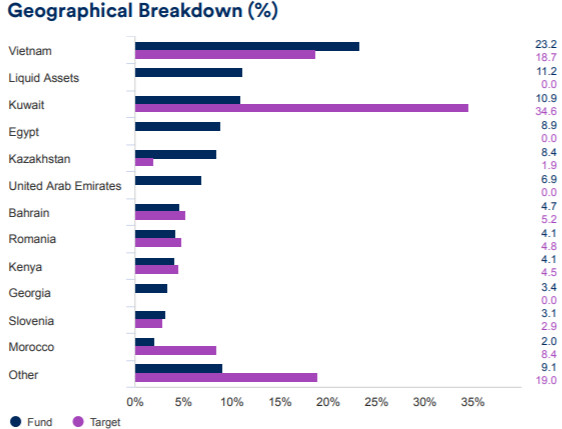 Kuwait lên hạng mới nổi, nhiều quỹ cận biên đã tăng mạnh tỷ trọng cổ phiếu Việt Nam - Ảnh 2.