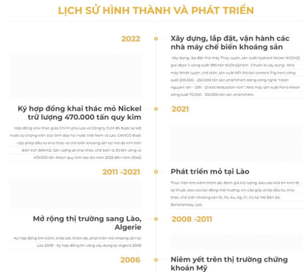 Là doanh nghiệp Việt đầu tiên lên NASDAQ từ 2009, nổi lên với loạt dự án lớn rồi “mai danh ẩn tích”, đối tác cung cấp Niken cho VinES làm pin xe điện hiện tại ra sao? - Ảnh 3.