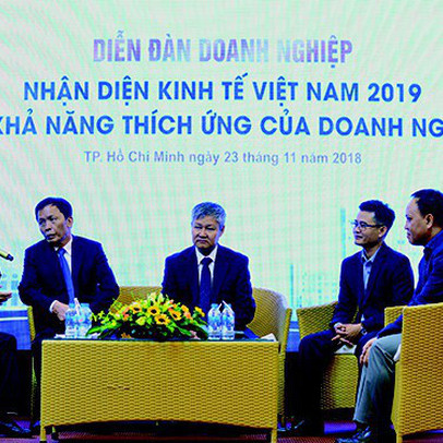 Lạc quan kinh tế Việt Nam 2019