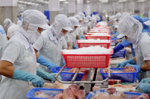 Lách khe hẹp xuất khẩu thủy sản tiếp tục mở cửa thị trường - Ảnh 2.