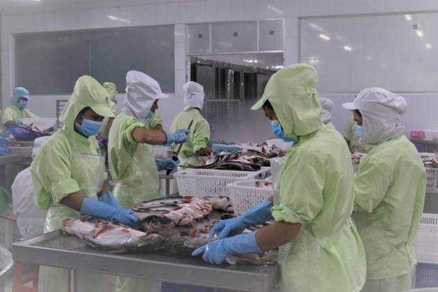 Lách khe hẹp xuất khẩu thủy sản tiếp tục mở cửa thị trường - Ảnh 4.