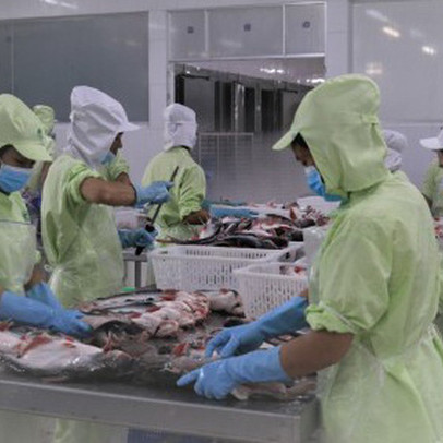 Lách khe hẹp xuất khẩu thủy sản tiếp tục mở cửa thị trường