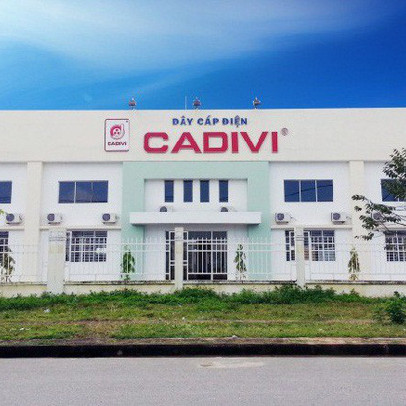 Lãi 242 tỷ đồng nửa đầu năm, Cadivi (CAV) chuẩn bị chi trả cổ tức bằng tiền mặt tỷ lệ 25%