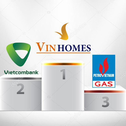 Lãi gần 10.000 tỷ, VinHomes vượt qua nhiều ngân hàng lớn trở thành quán quân lợi nhuận trên sàn chứng khoán