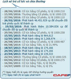 Lãi hàng nghìn % trong 10 năm: Điều không tưởng có thật cho cổ đông Vinamilk, Vingroup - Ảnh 1.