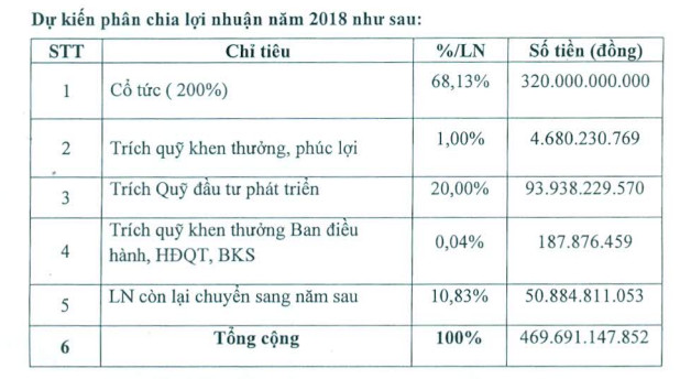 Lãi lớn, KCN Nam Tân Uyên (NTC) dự kiến chia cổ tức năm 2018 tỷ lệ 200% - Ảnh 2.