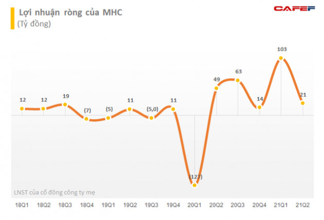 Lãi lớn nhờ kinh doanh chứng khoán, MHC lãi 6 tháng vượt 54% kế hoạch năm - Ảnh 3.