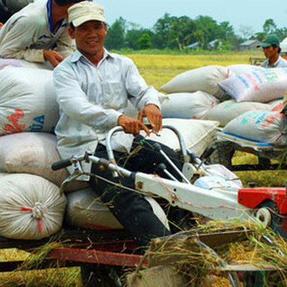 "Lái máy cày cũng phải có bằng"