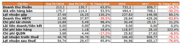 Lãi ròng 2018 giảm 76%, QCG nợ bà Nguyễn Thị Như Loan hơn 308 tỷ đồng