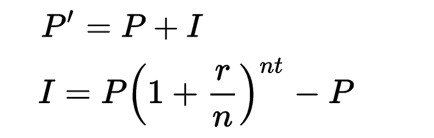  Lãi suất kép là gì mà Einstein gọi là kỳ quan thứ 8 của thế giới, giúp Warren Buffett và nhiều người khác trở nên giàu có? - Ảnh 2.