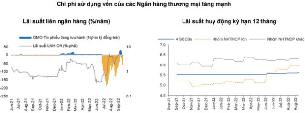 Lãi suất tăng, thời kỳ tiền rẻ chấm dứt, những doanh nghiệp nào tăng mạnh rủi ro? - Ảnh 2.