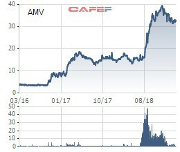 Lại thêm 1 cá nhân bị phạt nặng vì sử dụng 18 tài khoản thao túng giá cổ phiếu AMV - Ảnh 2.