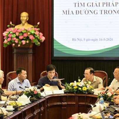 Làm gì để Việt Nam trở thành cường quốc mía đường thế giới?