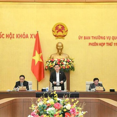 “Làm giá chứng khoán ngày càng tinh vi, có lo ngại việc xử lý các doanh nghiệp lớn”