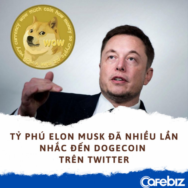 Làm giàu không khó: Lời gấp 6.580 lần khi mua 1.000 USD Dogecoin vào đầu năm nay - Ảnh 2.