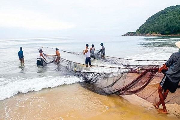  Làm thế nào một công ty dệt lưới đánh cá có thể tạo ra hàng trăm tỷ đồng doanh thu với chỉ vỏn vẹn 5 tỷ đồng máy móc thiết bị? - Ảnh 1.